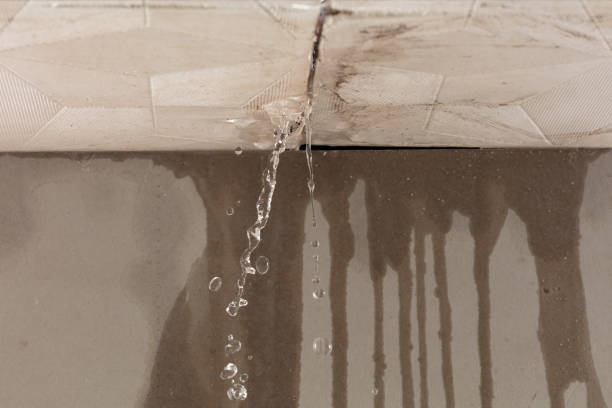 Professional Structural Drying technician working in Key Biscayne, FL
